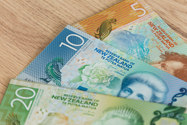 View of the New Zealand dollars have different nominaly - Halo Financial