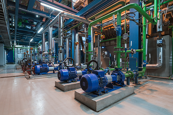 Pumps in a cogeneration station