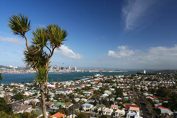 Auckland Houses and Flats - Halo Financial
