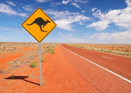 Australian endless roads with a sign that alerts about Kangaroos. Emigrating to Australia during COVID-19