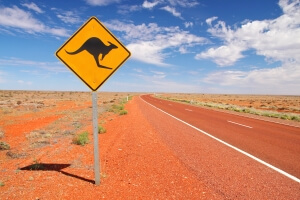 Australian endless roads with a sign that alerts about Kangaroos