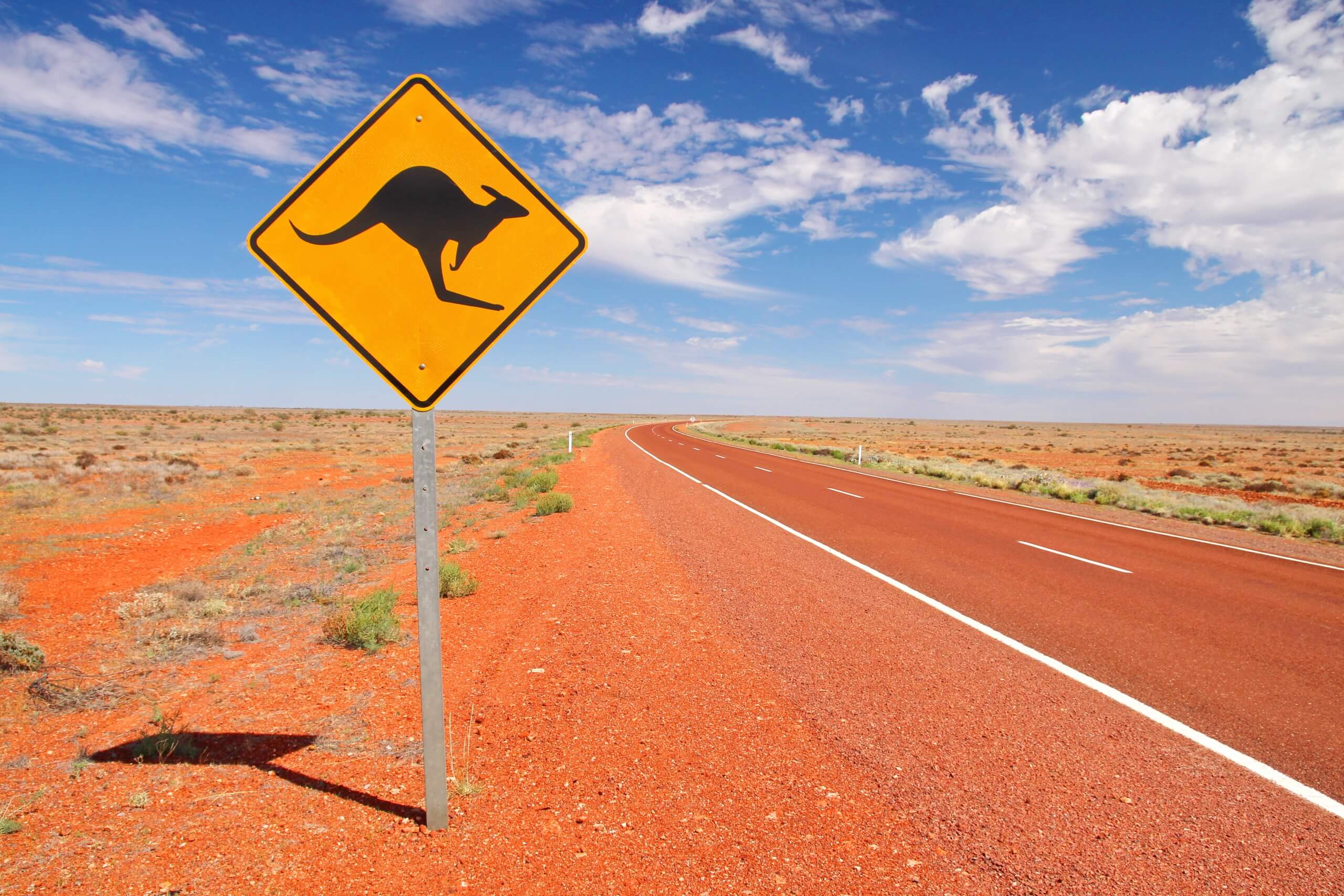 캥거루에 대한 경고 표시와 함께 호주의 끝없는 도로에 이민
