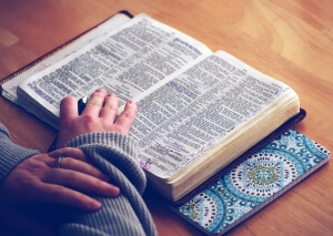 A man learning a foreign language on the dictionary