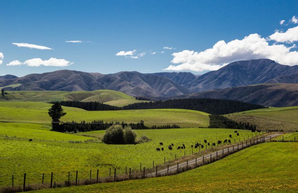 NEW ZEALAND