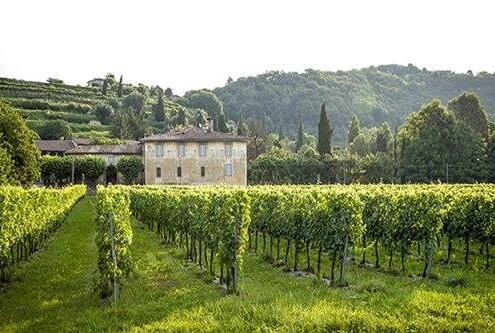 Property in France