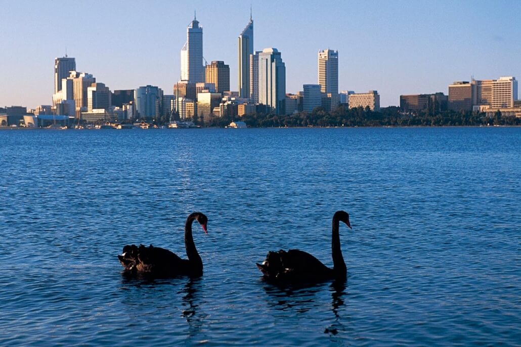 swan river