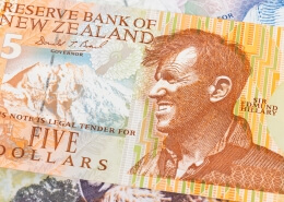 New Zealand dollar money banknote Edmund Hullary close-up