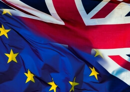 Brexit Referendum
