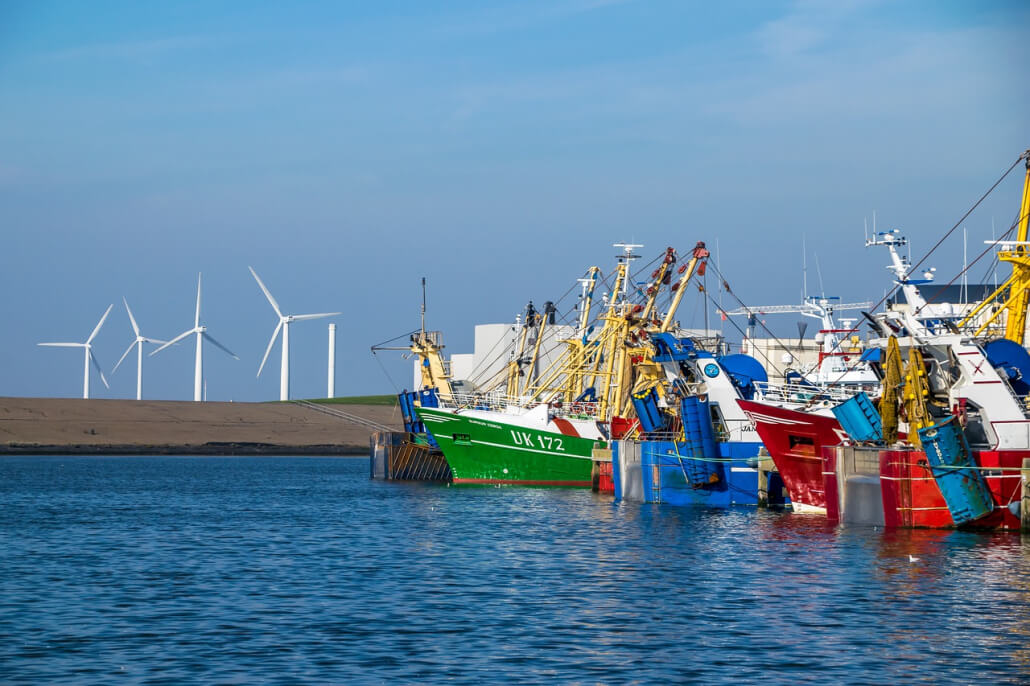 UK offers EU fishing deal