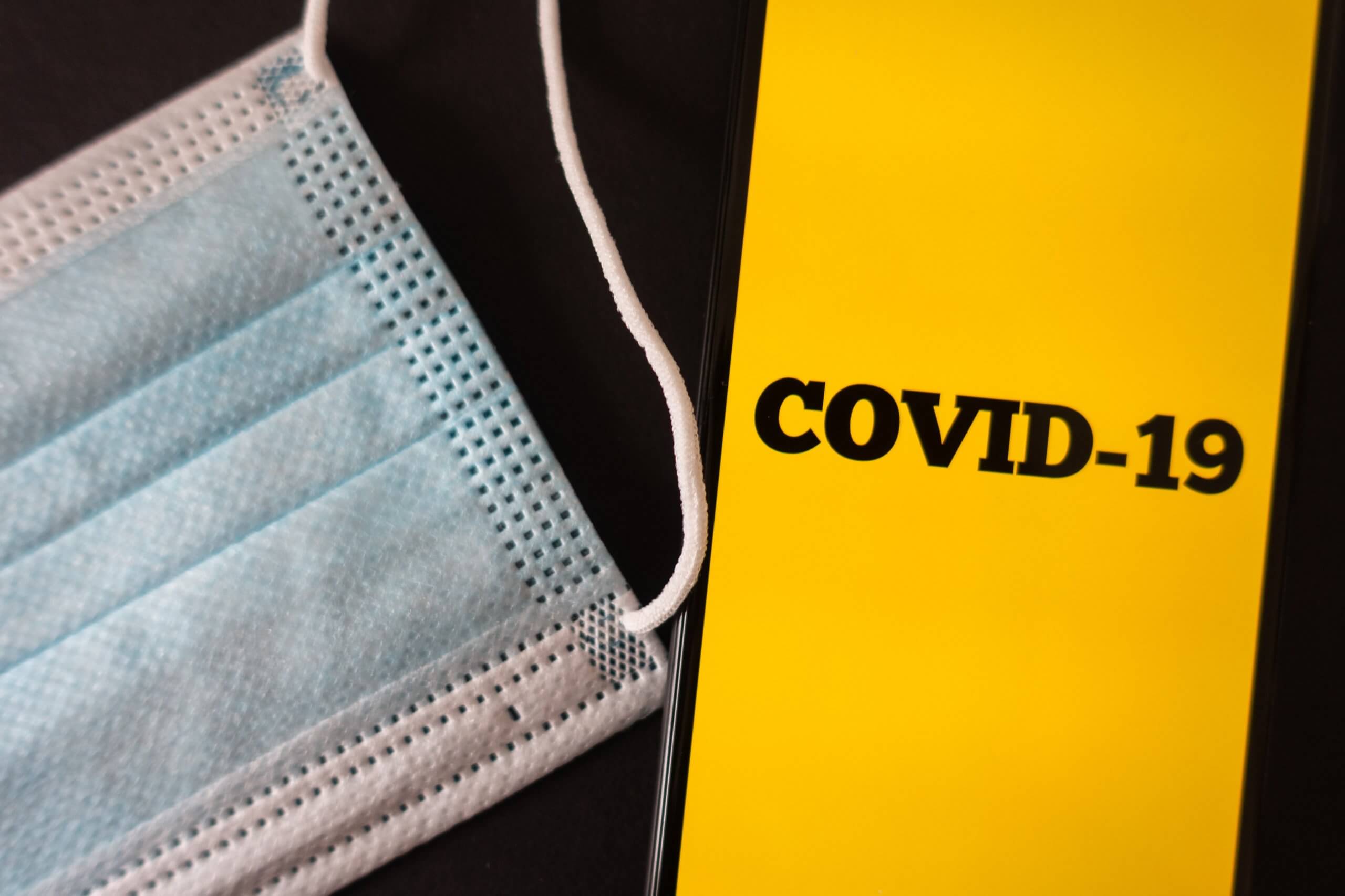 Domestic coronavirus passports