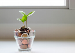 leaves growing in a jar full of coins