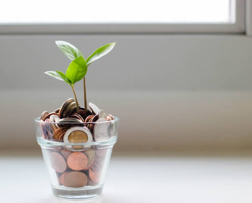 leaves growing in a jar full of coins