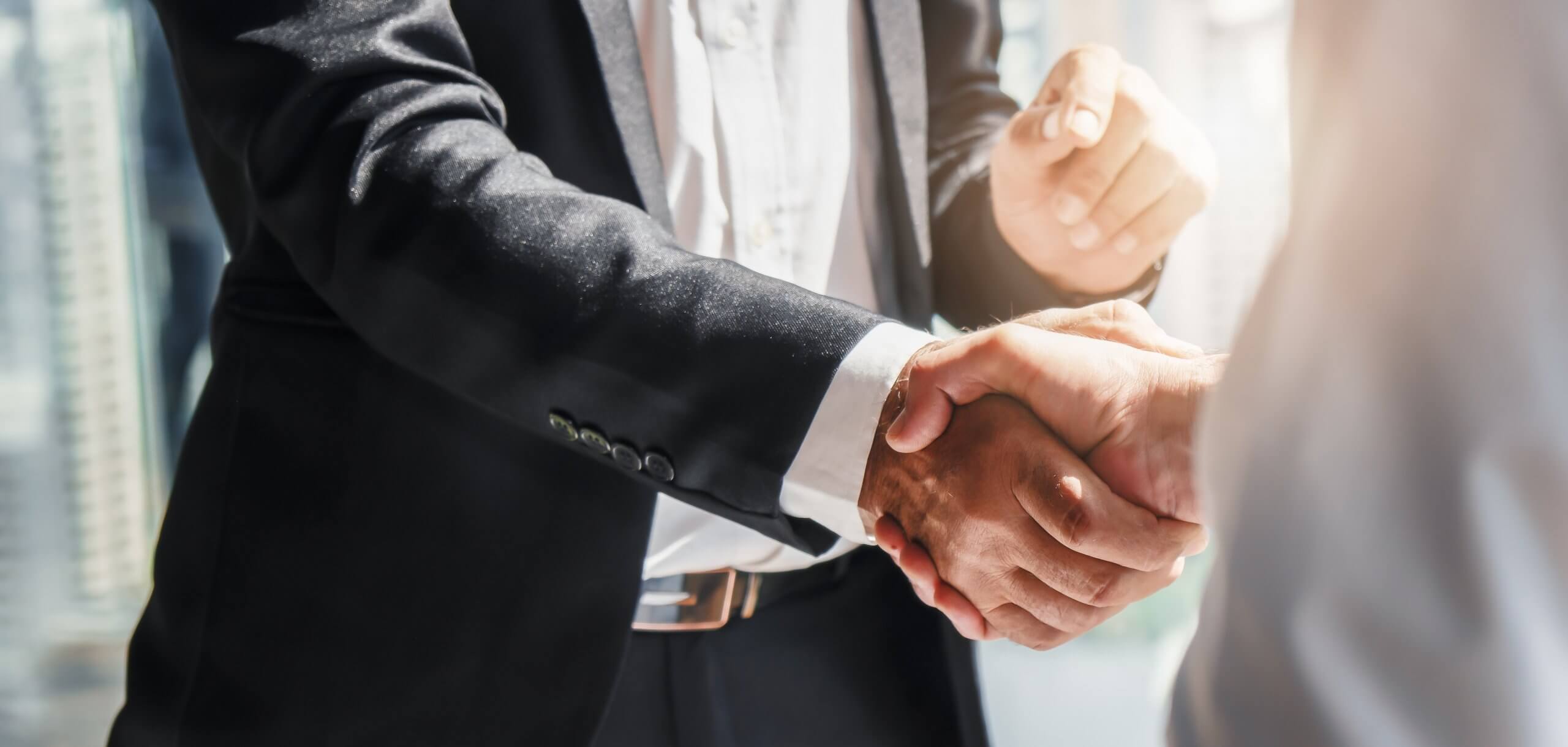 two businessman having handshake